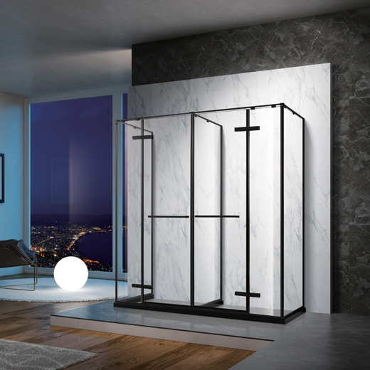 Shower Partition